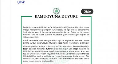 Van'da alıkonulan kurt, DKMP ekipleri tarafından koruma altına alındı