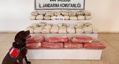 Van'da arazide 61 kilo skunk ele geçirildi; 1 gözaltı