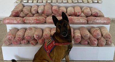 Van'da arazideki aramada 67 kilo uyuşturucu ele geçirildi