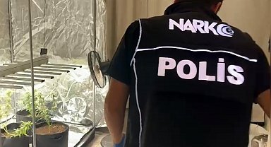 Yatak odasına kurduğu serada kenevir yetiştiren şüpheli: Evi tanımadığım biri kullanıyor