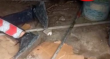 Yavrusu kurtarılırken anne kedinin bölgede bekleyişi kamerada