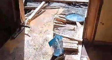 Yiyecek arayan ayılar, 8 köy evine zarar verdi