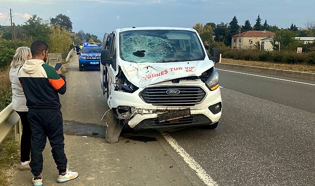 Yol kenarında yürürken minibüsün çarptığı yaya öldü