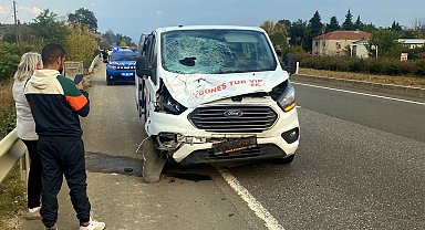 Yol kenarında yürürken minibüsün çarptığı yaya öldü