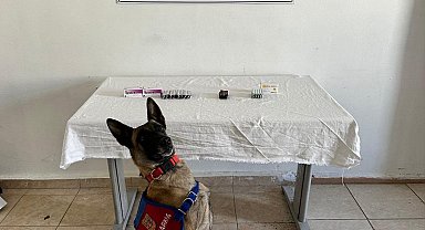 Yol kontrolünde üzerinde 380 sentetik hap ele geçirilen şüpheliye gözaltı