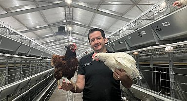 Yumurtacı damızlık civciv üretiminde yapay zeka dönemi