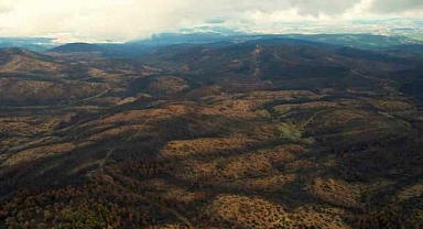 Bursa'da 953 hektar kül oldu!