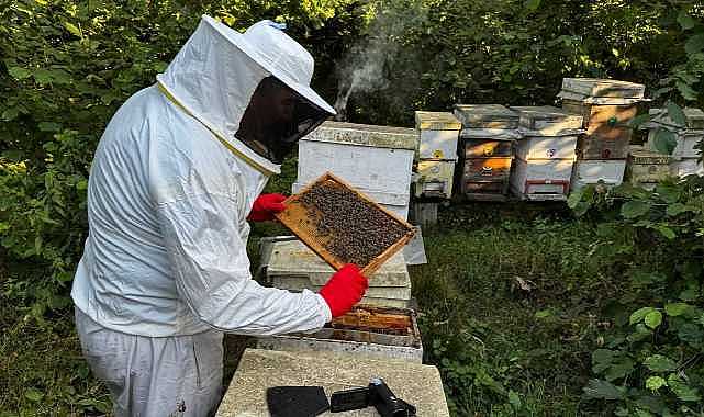 Bursa’da arıcılara büyük destek