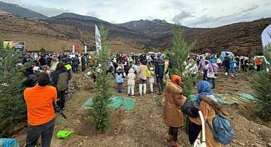 Bursa’da yanan ormanlar yeniden yeşeriyor