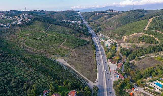 Bursa’nın yanan ormanları yeniden yeşeriyor