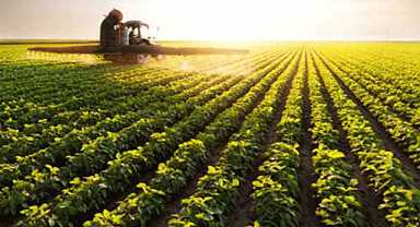 Bursa’ya bereket: Üreticiye destek programı başladı!