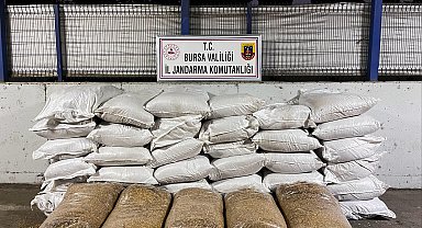 Bursa'da jandarmadan 'kaçak tütün' operasyonu; 5 gözaltı