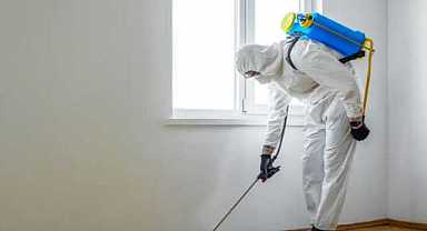 Her evde var: Böcek ilaçları ne kadar zehirliyor?