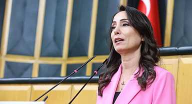 İmralı'da ne konuşuldu? DEM Parti'den ilk açıklama