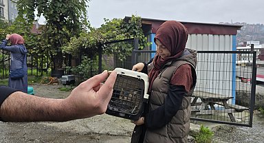 Kayıp kedi, patisinde mermiyle geri döndü