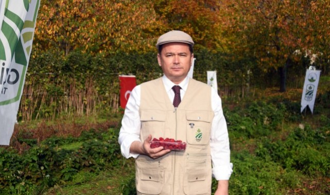 Osmangazi’de Üzümsü Meyvelerde Organik Tarım Seferberliği