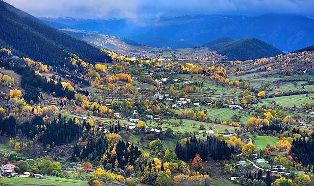 'Sakin şehir' Şavşat'ta sonbaharda renk cümbüşü