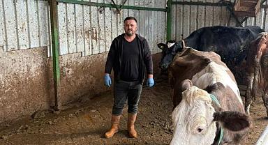 Bursa’da şap kâbusu