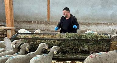 Bursa’da şap mağduru üreticilerden çağrı