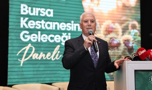 Bursa kestanesine Büyükşehir’den destek