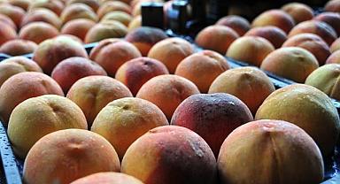 Bursa’nın lezzetleri vitrine çıkıyor