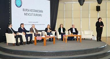 Bursa’nın tescilli ürünü tehdit altında!