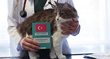 Evcil hayvan sahipleri için son gün 31 Aralık!