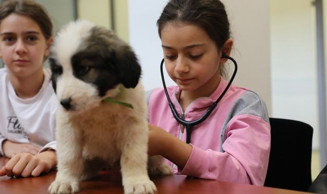 Minik veterinerler görev başında