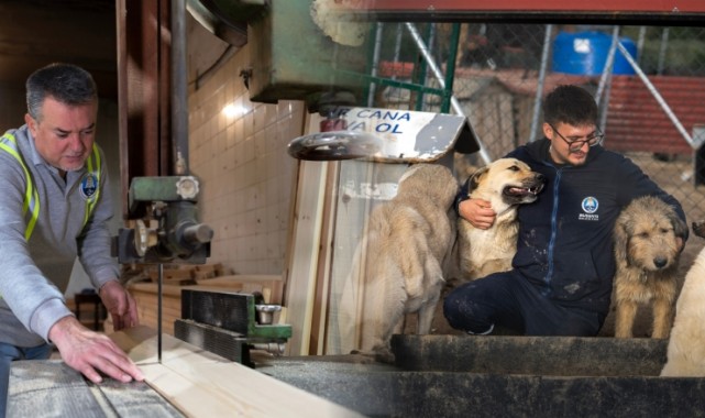 Bir Yıl, Somut İşler, Rakamlarla Mudanya