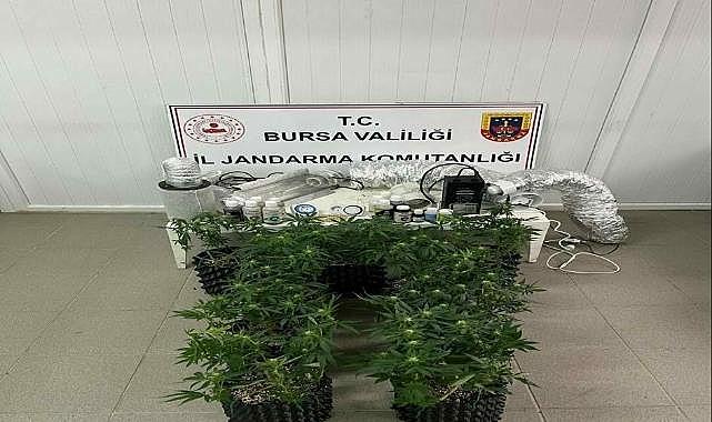 Bursa’da zehir tacirlerine darbe