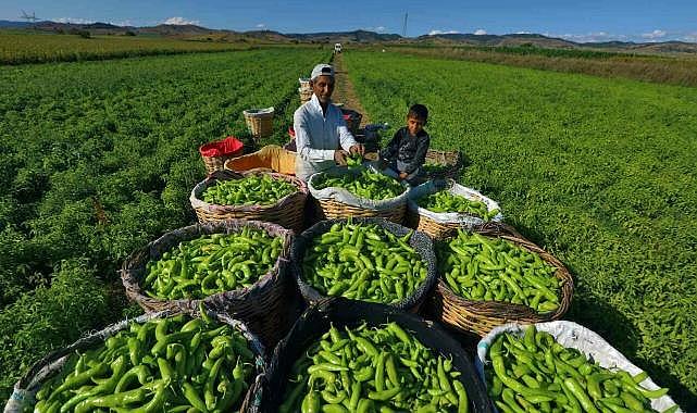 Bursa’dan dev bütçeli iklim projesi