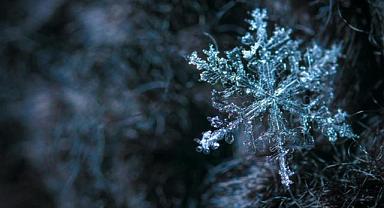 Bursa için kritik uyarı! Yarın başlıyor