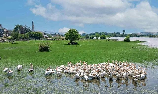 Bursa’ya yeni cazibe merkezi
