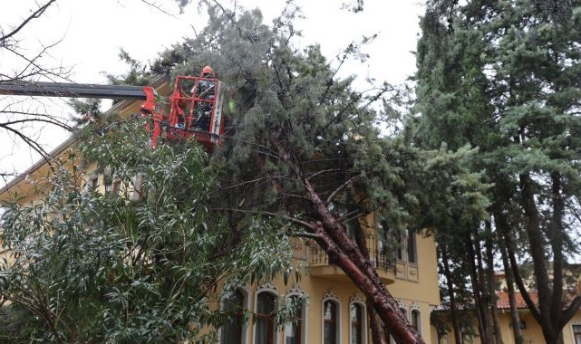 Büyükşehir ekipleri, şiddetli rüzgara karşı sahada