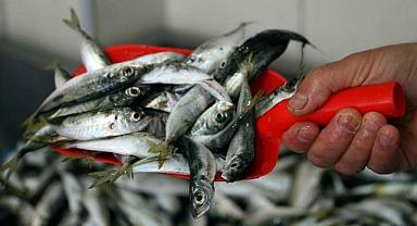 Fiyatı en fazla artan ve düşen ürünler belli oldu