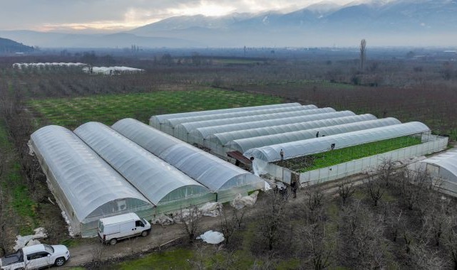 Lodostan zarar gören seralara Büyükşehir desteği