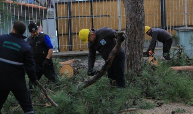 Osmangazi Belediyesi’nden Lodosa Karşı Etkin Müdahale