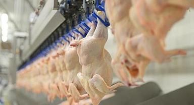 Bakanlık'tan tavuk kararı! Yarından itibaren…