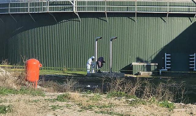 Biyogaz tesisinde facia: 3 ölü