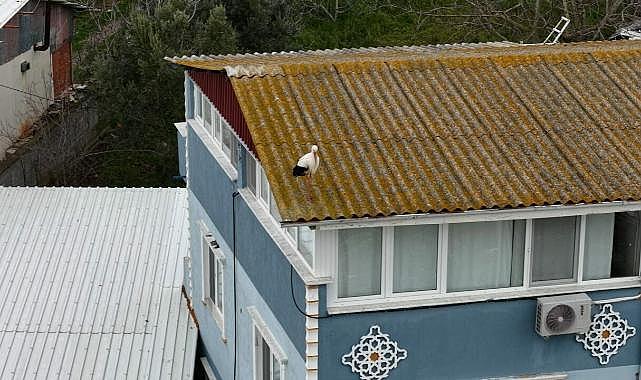 Bursa’da baharın müjdecisi böyle geldi!
