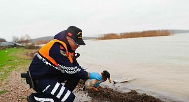 Bursa’da kaçak avcılara ceza yağdı