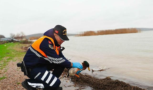 Bursa’da kaçak avcılara ceza yağdı