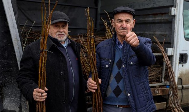 Büyükşehir’de üreticiye fidan ve tohum desteği