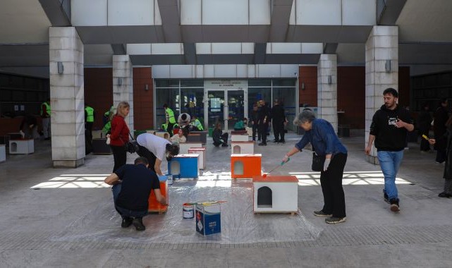 Can dostlara sıcak yuva