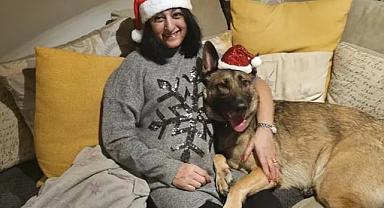 Elindeki yarayı köpek yaladı, hayatı karardı!