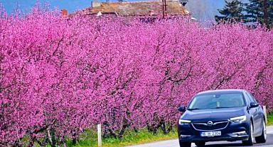 Bursa’da bahar şöleni! Muhteşem görüntüler