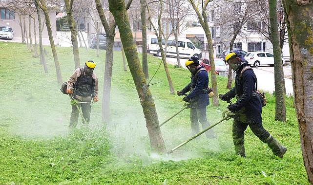 Bursa'da bahar temizliği
