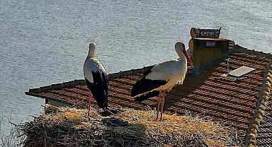 Bursa’da beklenen buluşma gerçekleşti