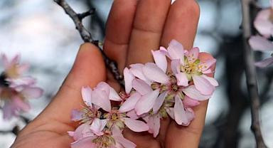 Bursa’da bu saatlere dikkat! Yalancı Bahar’a karşı uyarı geldi