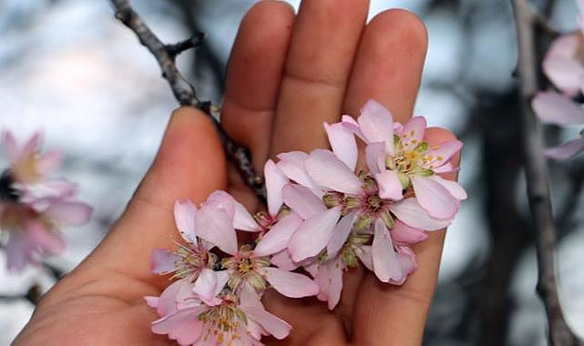 Bursa’da bu saatlere dikkat! Yalancı Bahar’a karşı uyarı geldi